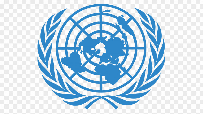 Social Media United Nations Image Organization Education PNG