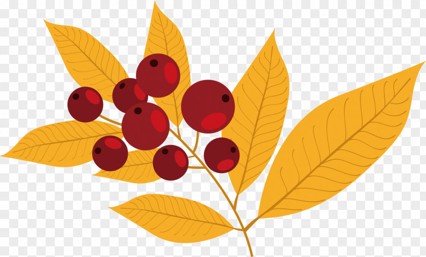 Vector Hand-painted Leaves With Berries Frutti Di Bosco Auglis Autumn PNG