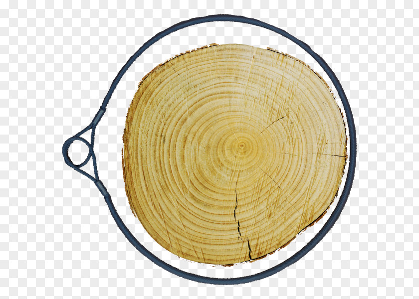 Wood /m/083vt Tree PNG