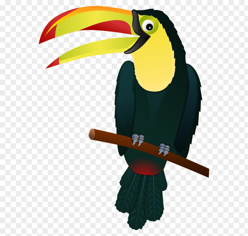 Big Bird Clipart Keel-billed Toucan Snake Clip Art PNG