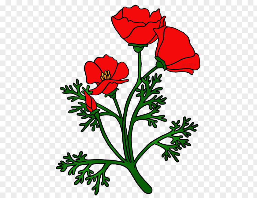 Clip Art Free Content Image California Poppy PNG