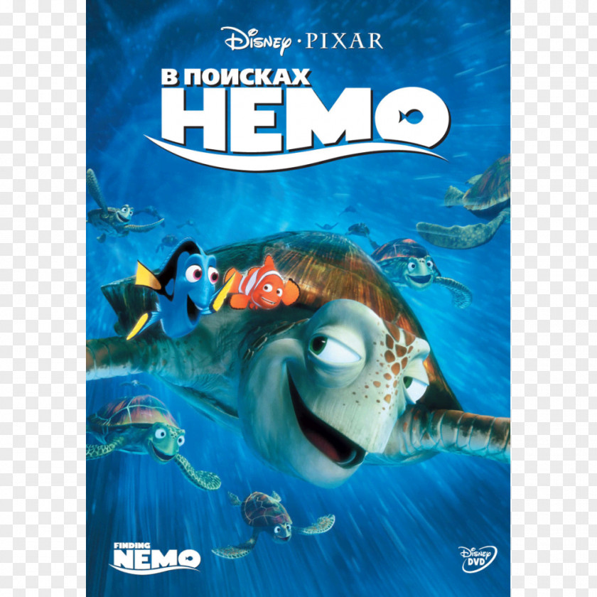 Dory Disney Film Finding Nemo Pixar DVD Walt Pictures PNG