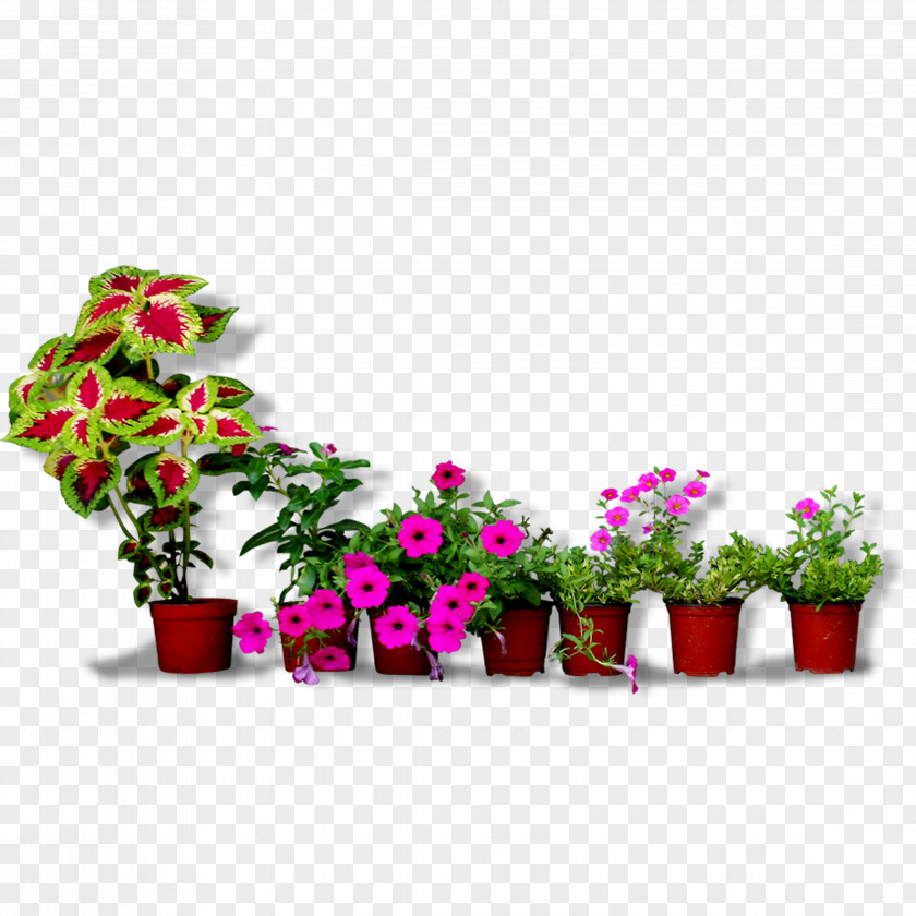 Flower Pots Flowerpot Floral Design Bonsai PNG
