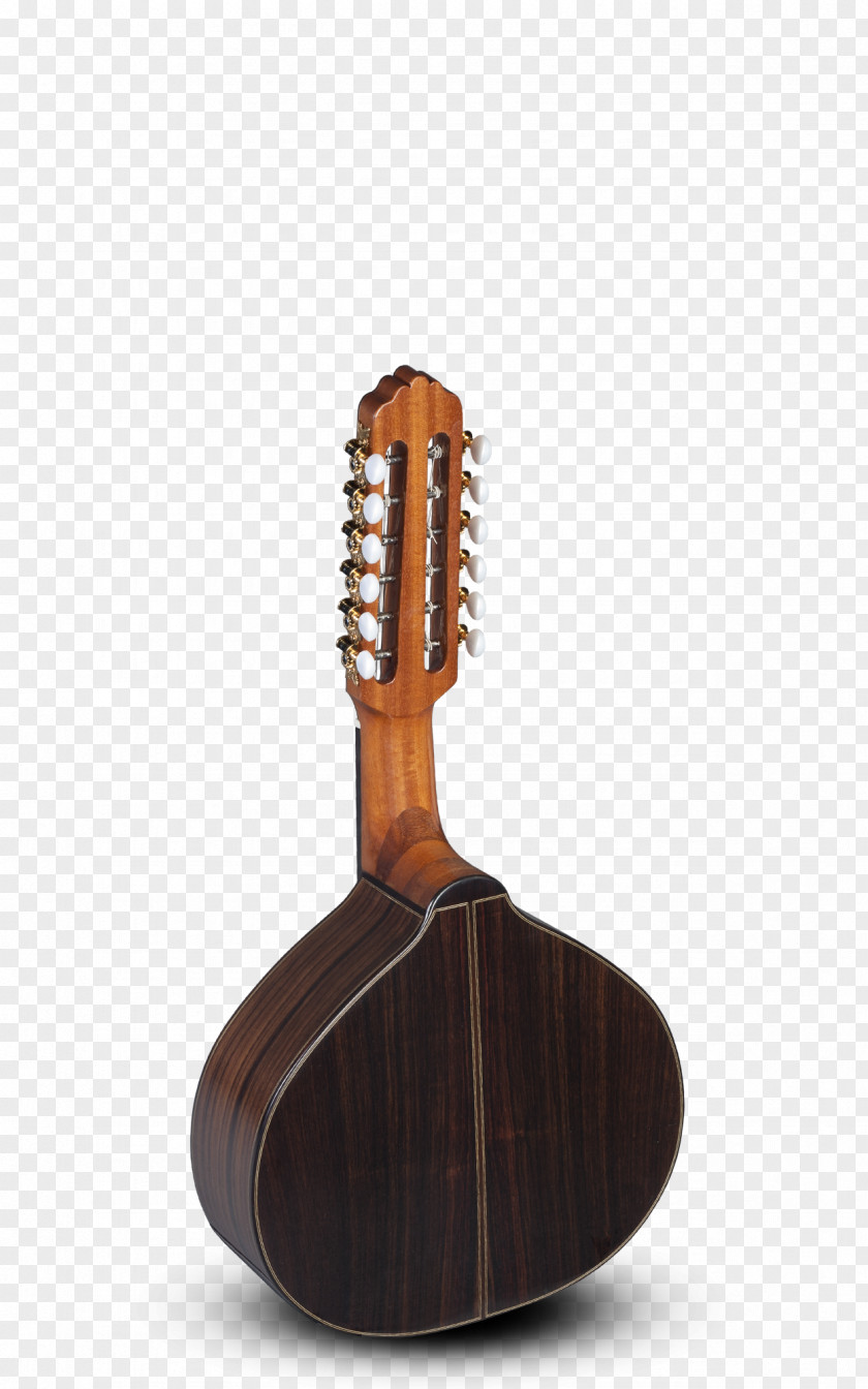 Guitar Plucked String Instrument Bandurria Fingerboard Lute Laúd PNG