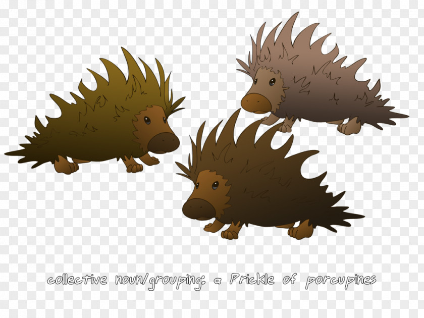 Hedgehog Andover United States Department Of Energy Star Zero-energy Building PNG