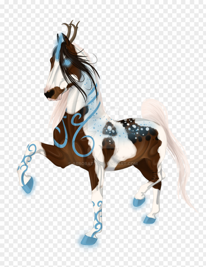 Mustang Drawing Tamale Stallion Pony PNG