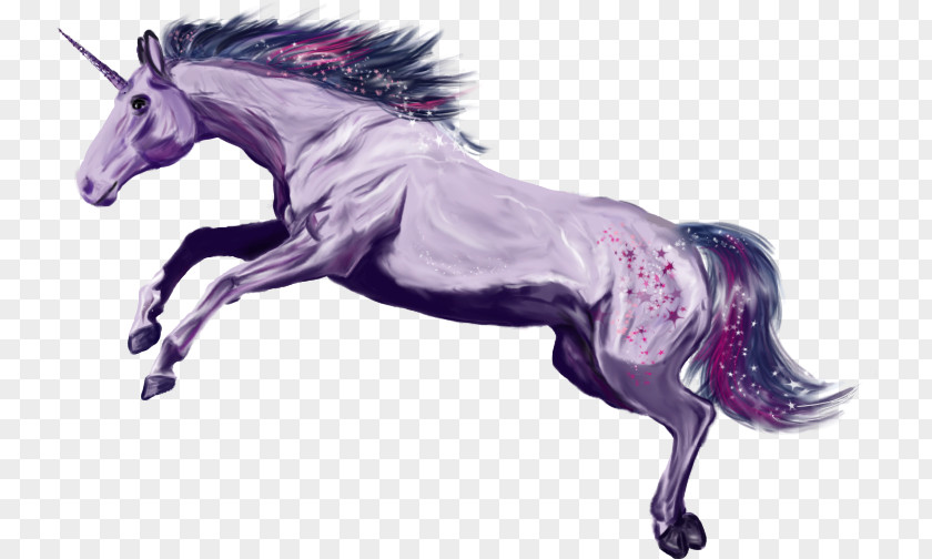 Mustang Mane Pony Stallion Unicorn PNG