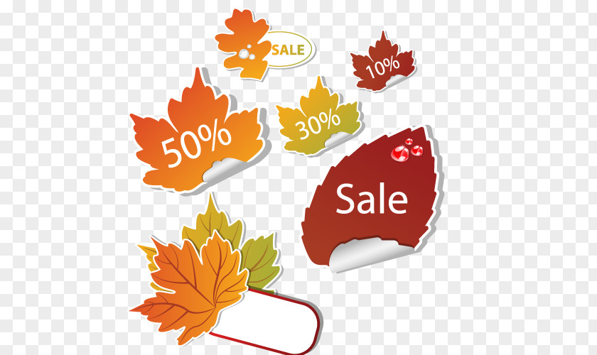 Vector Maple Leaf PNG