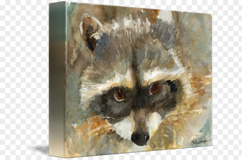 Watercolor Animal Raccoon Red Fox Painting Whiskers PNG