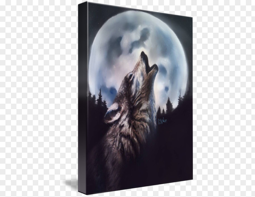 Wolf And Moon Gray Art Printmaking PNG
