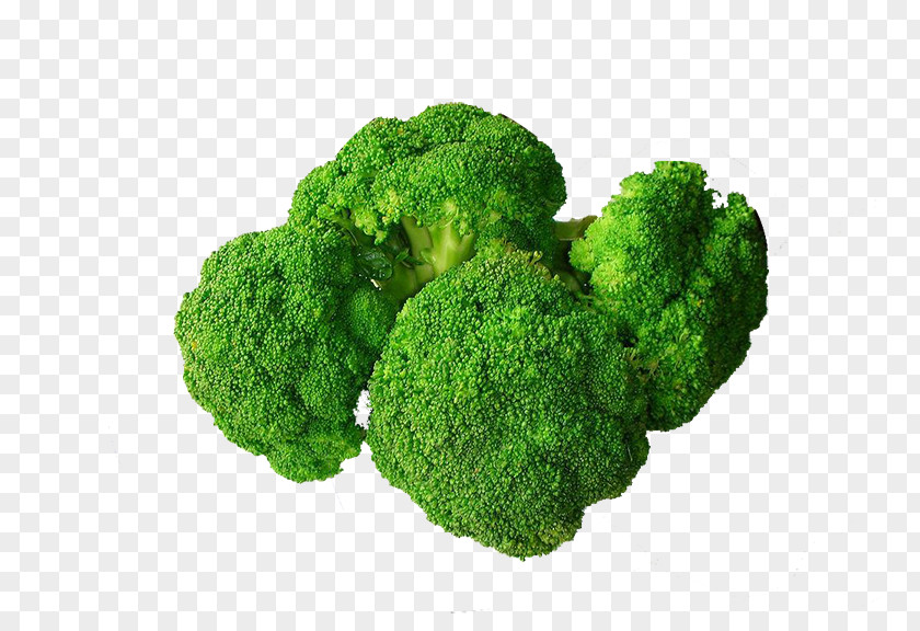 Broccoli Food Vegetable Eating Nutrition PNG