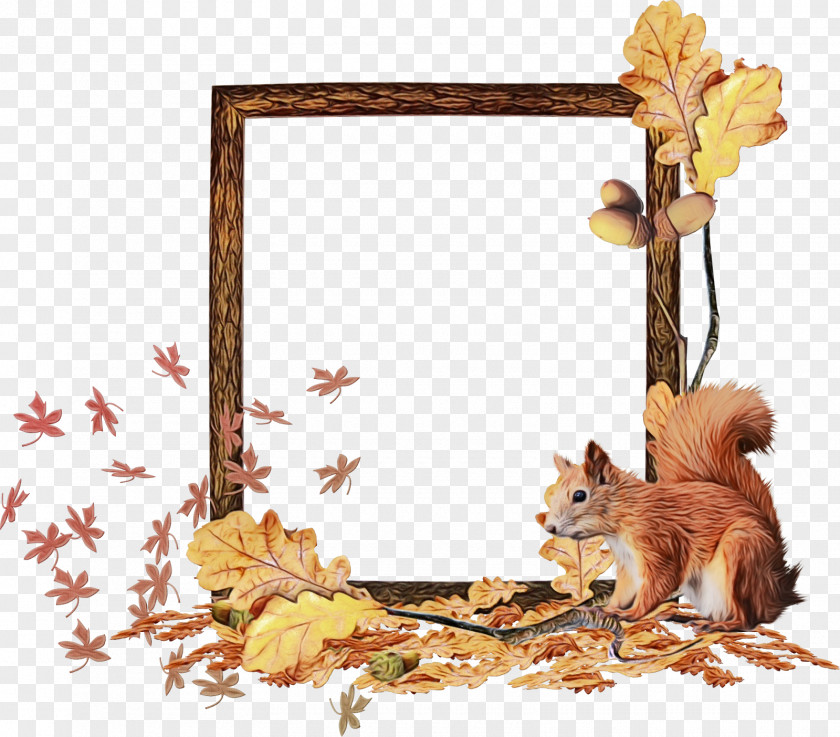 Cat Picture Frame Watercolor Background Autumn PNG