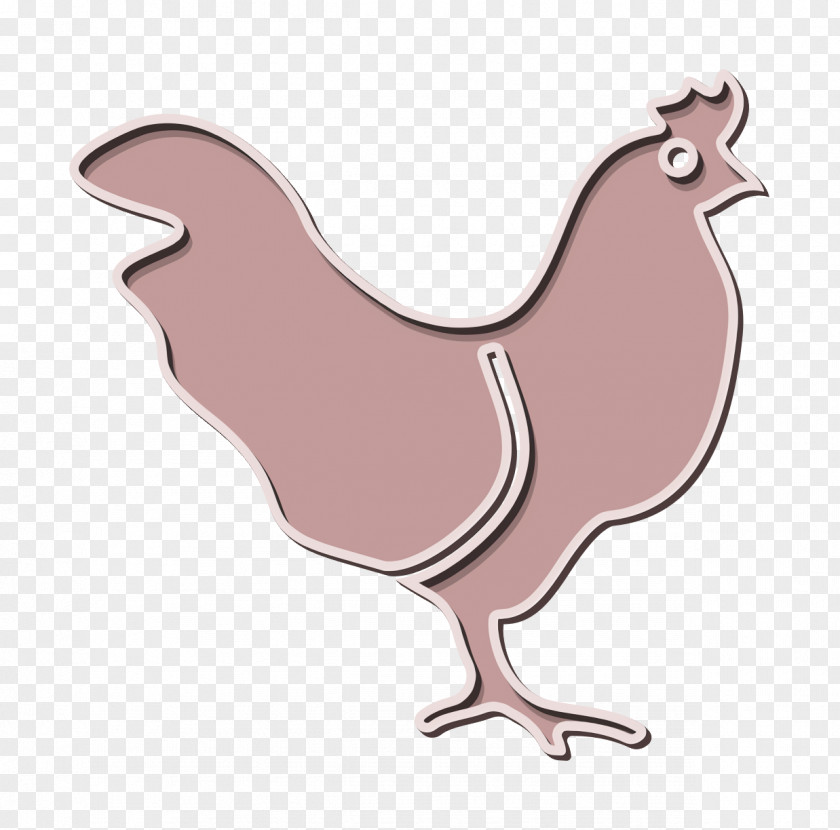 Cock Icon Chicken Animals PNG