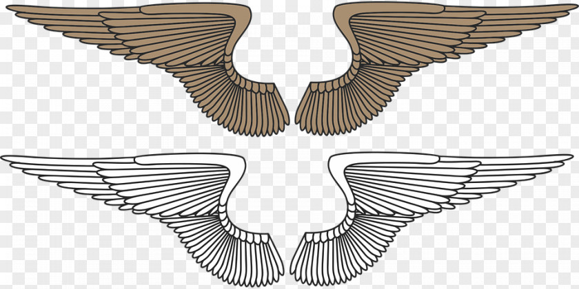 Eagle Wing Clip Art PNG