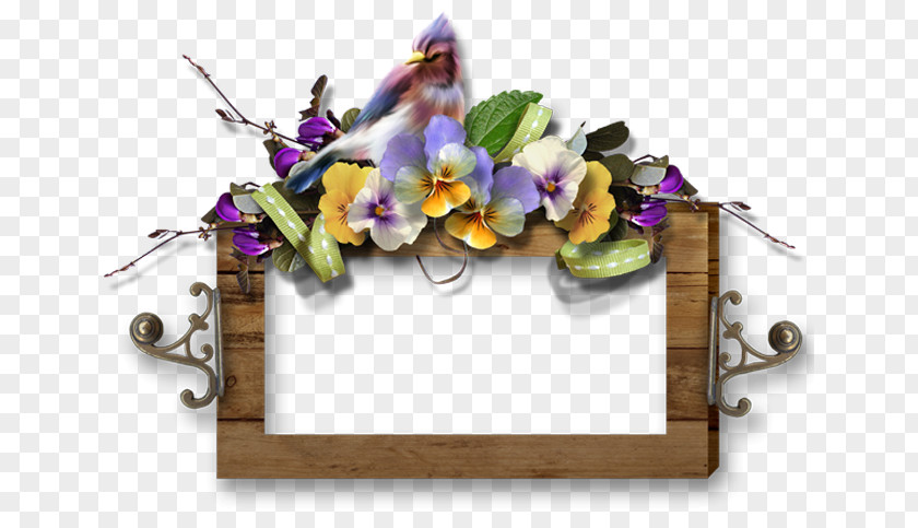 Flower Floral Design Photography Image PNG