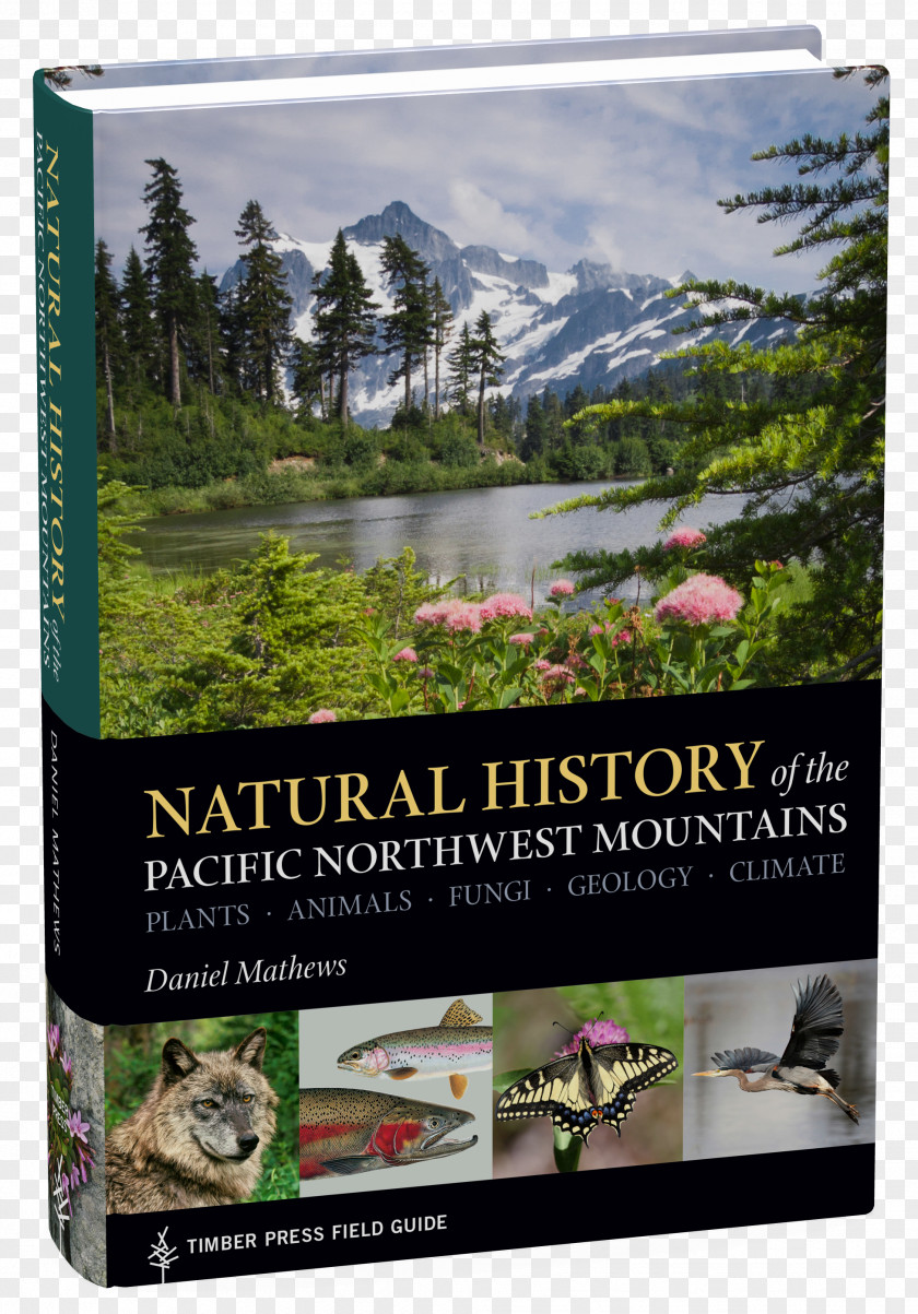 Natural History Of The Pacific Northwest Mountains: Plants, Animals, Fungi, Geology, Climate Field Guide Timber Press Nature's Temples: Complex World Old-Growth Forests PNG