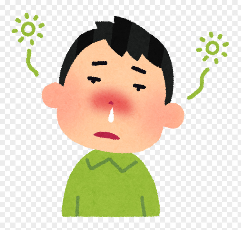 Nose Allergic Rhinitis Due To Pollen 鍼灸 Hay Fever Japanese Cedar PNG