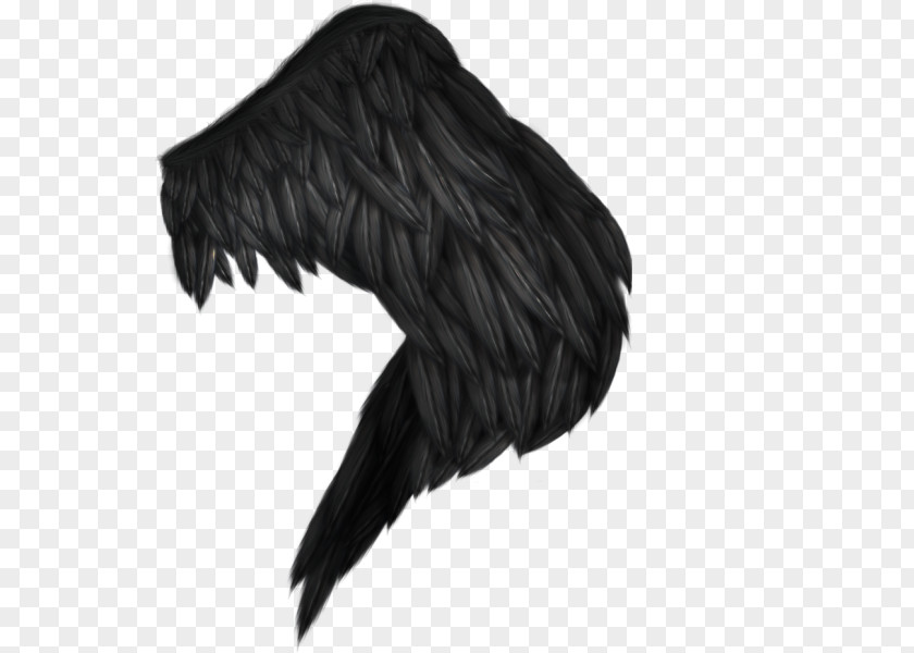 Wing Bird PNG