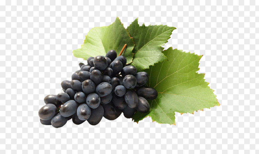 Grape Sultana Wine Cabernet Sauvignon Seedless Fruit PNG