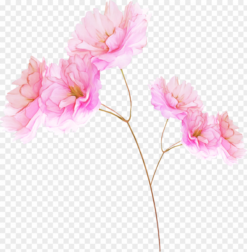 Moth Orchid Branch Artificial Flower PNG