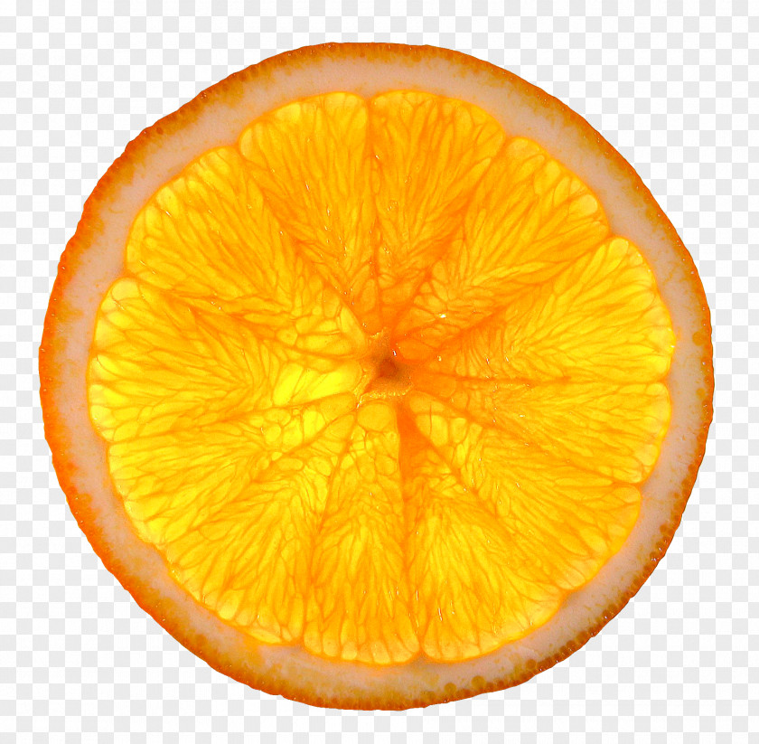 Orange Slice Citrus Health Quesadilla PNG