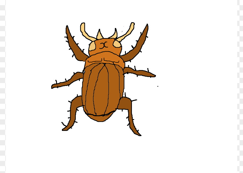 Food Animations Cockroach Insect Clip Art PNG