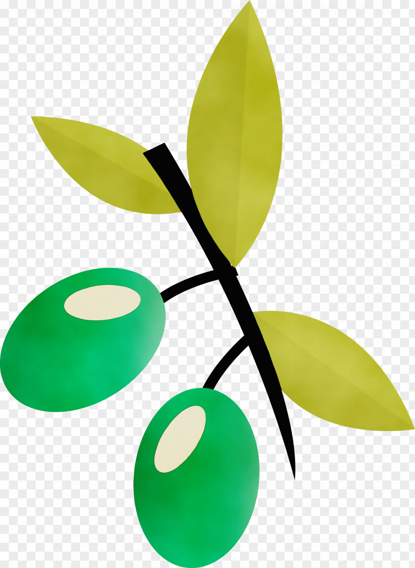 Fruit Leaf Vegetable Logo Green PNG