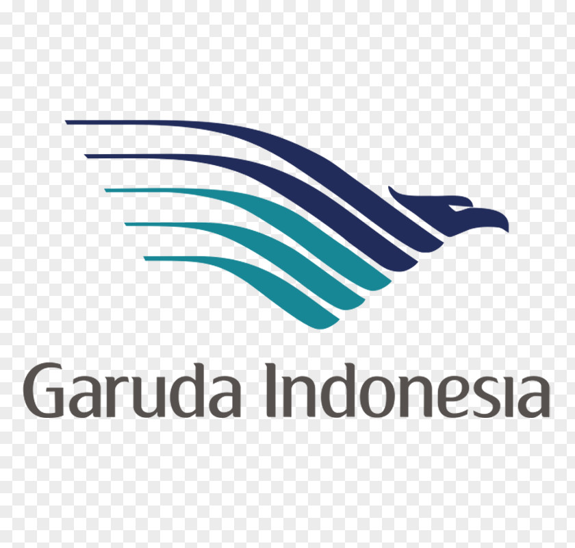 Business Jakarta Flight Garuda Indonesia Airline Flag Carrier PNG