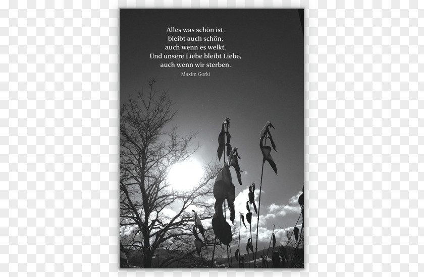 Halloween Cards Condolences Mourning Trauerspruch Quotation Saying PNG