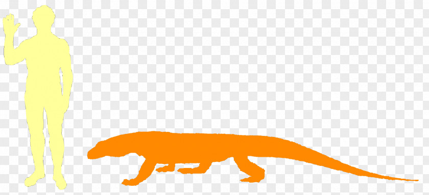 Komodo Tyrannosaurus Mammal Cartoon PNG