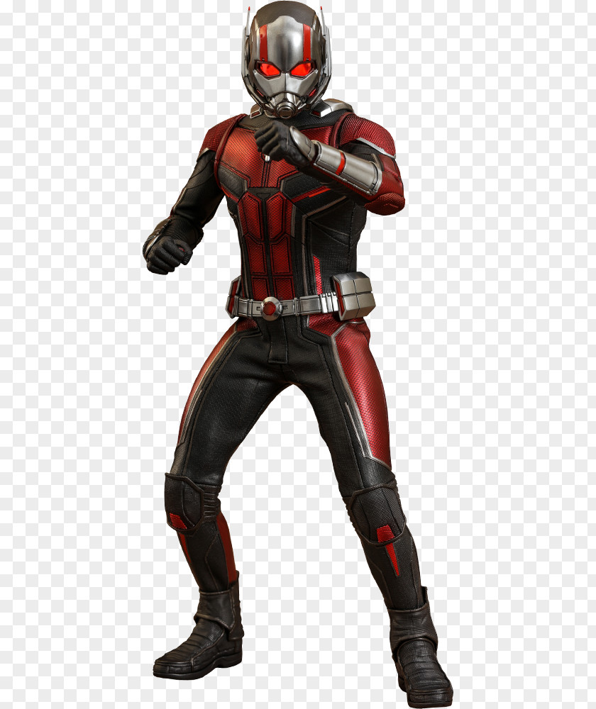 Marvel Toy Wasp Hank Pym Ant-Man Hope Hot Toys Limited PNG