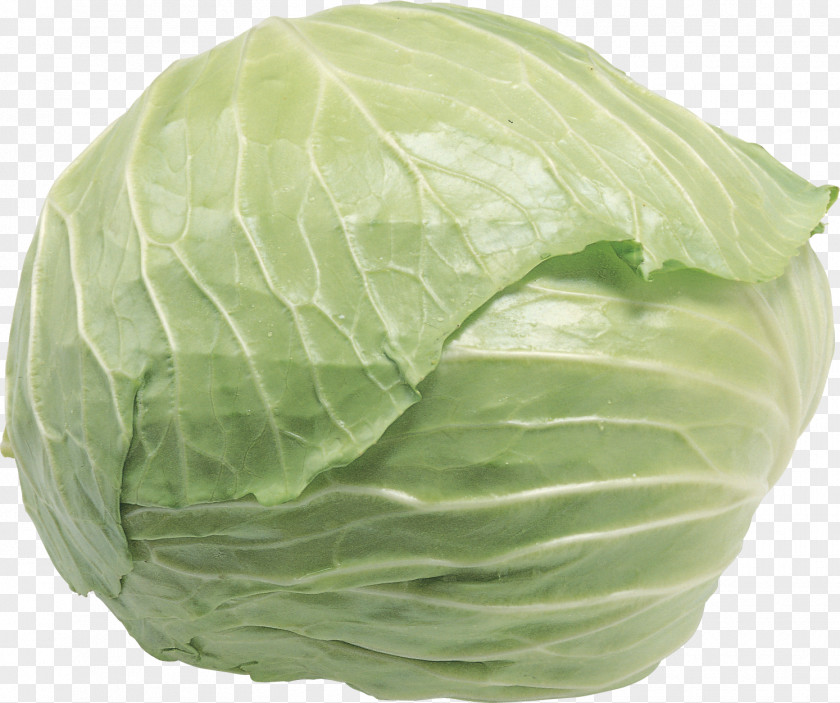 100-natural Chinese Cabbage Cauliflower Leaf Vegetable PNG