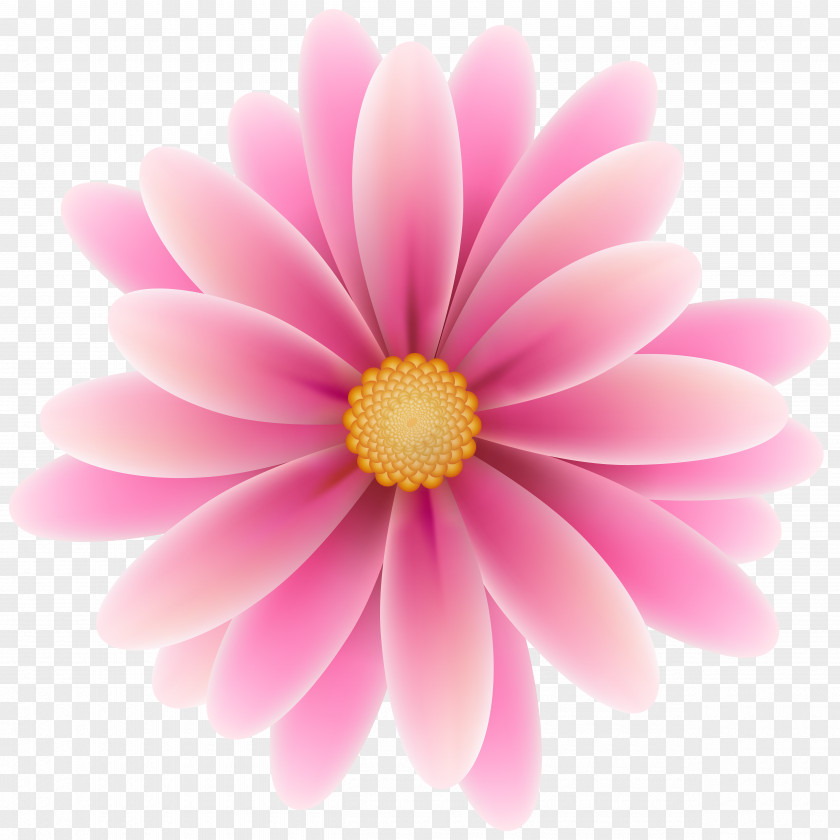 Flower Pink Flowers Clip Art PNG