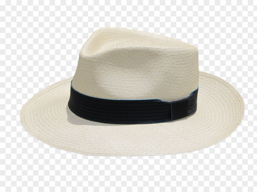 Hut Panama Hat Fedora Straw Trilby PNG