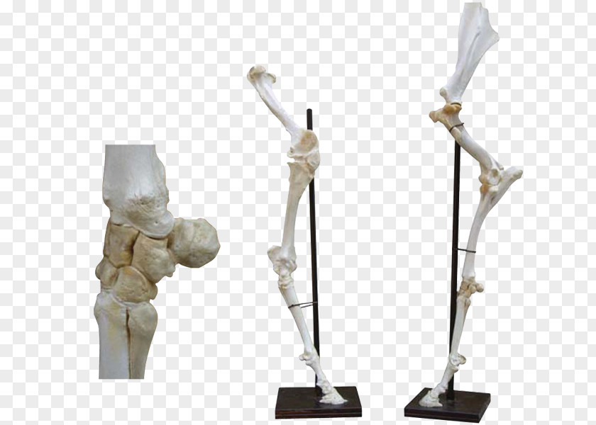 Sculpture Figurine Product Design PNG
