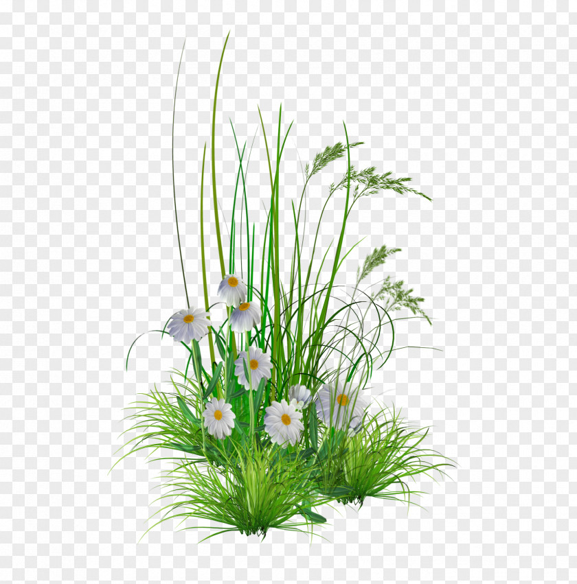 Transparent Flower Hd Background Garden Lawn Clip Art PNG