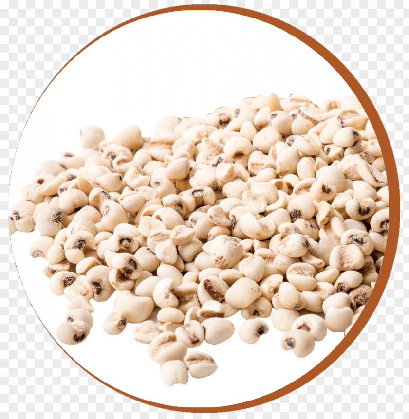 Barley Vegetarian Cuisine Ingredient Superfood Commodity PNG