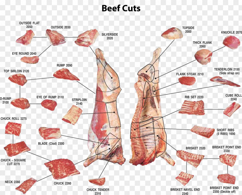 Meat Primal Cut Of Beef Veal PNG