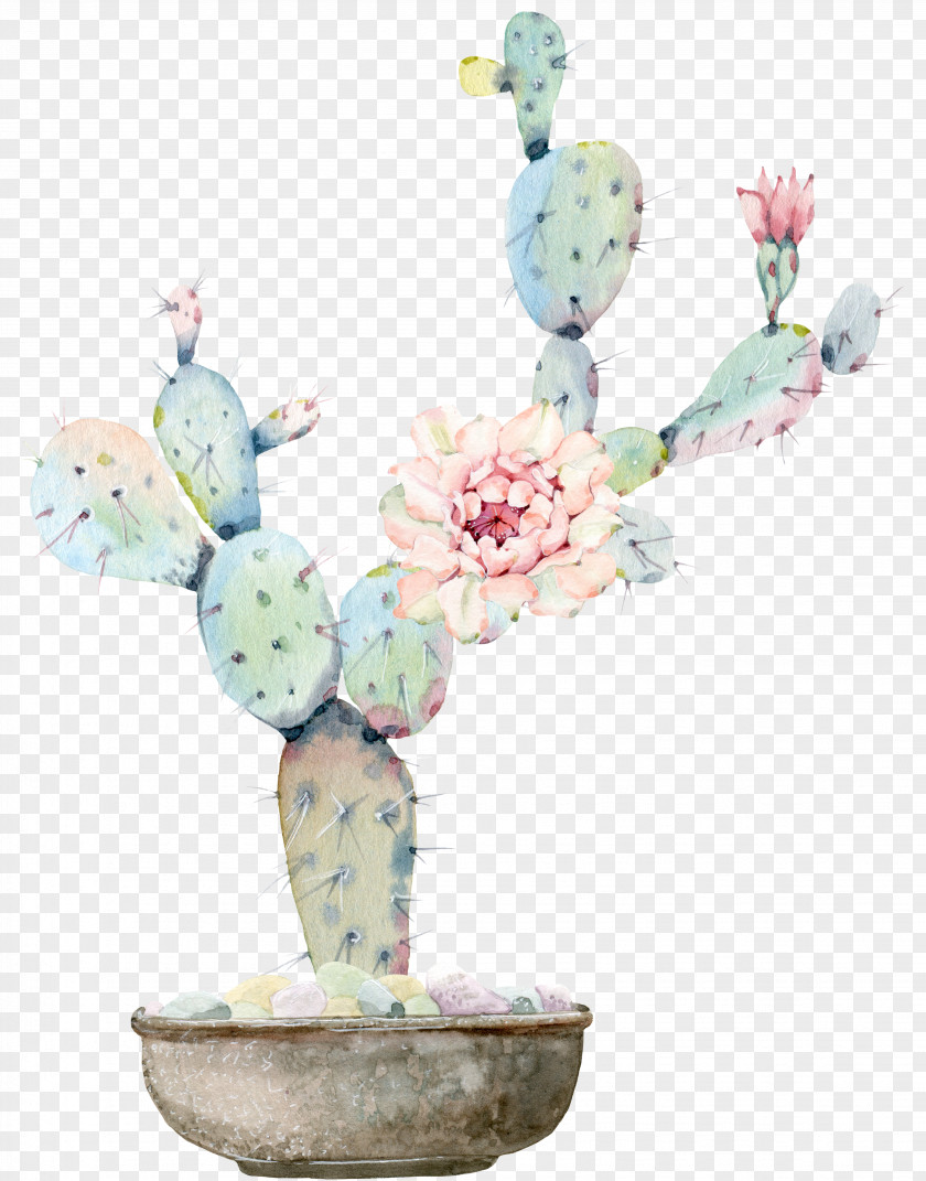 Water Color Flower, Green Plant Cactus Watercolour Flowers Watercolor Painting Cactaceae Drawing PNG