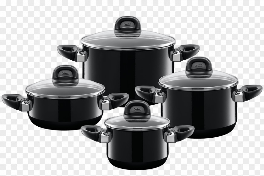 Aluminum Fish Cooker WMF 0015.2900.11 Pan Set Cookware Silit Kitchen Kochtopf PNG