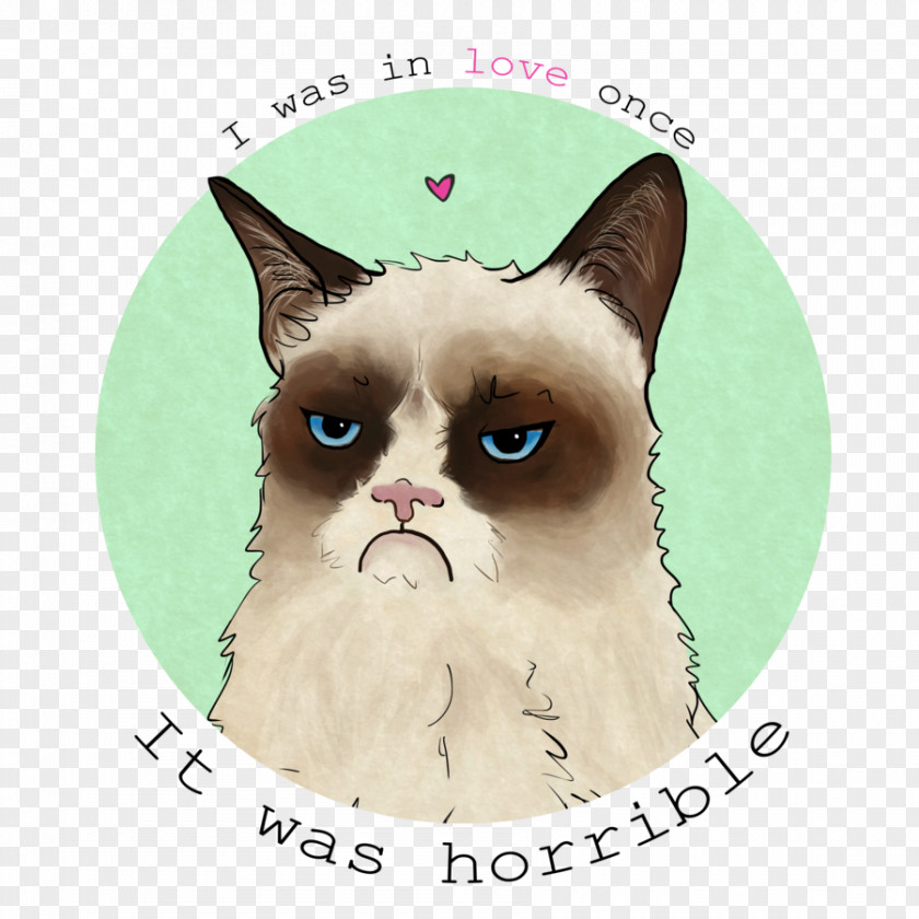 Cat Grumpy Whiskers Kitten Greeting & Note Cards PNG