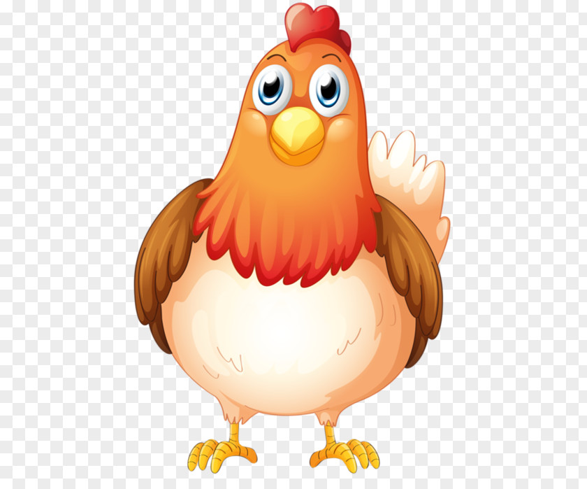 Chicken Vector Graphics Royalty-free Stock Illustration PNG