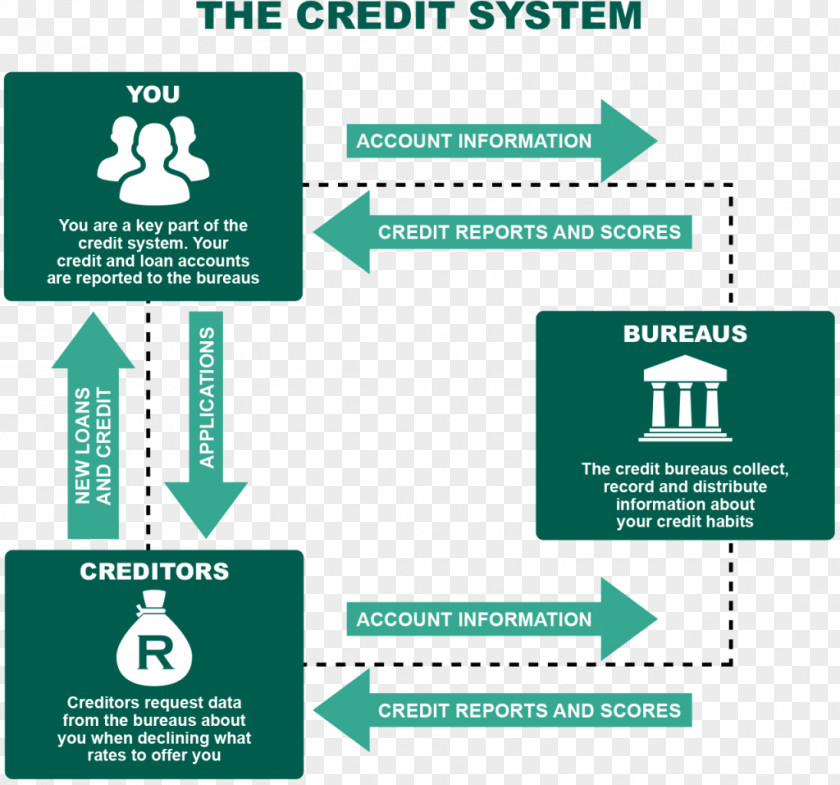 Credit Card Bureau History Report PNG