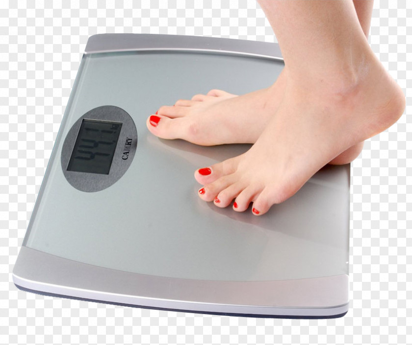 Digital Weighing Scale Weight Steelyard Balance Mobile App PNG
