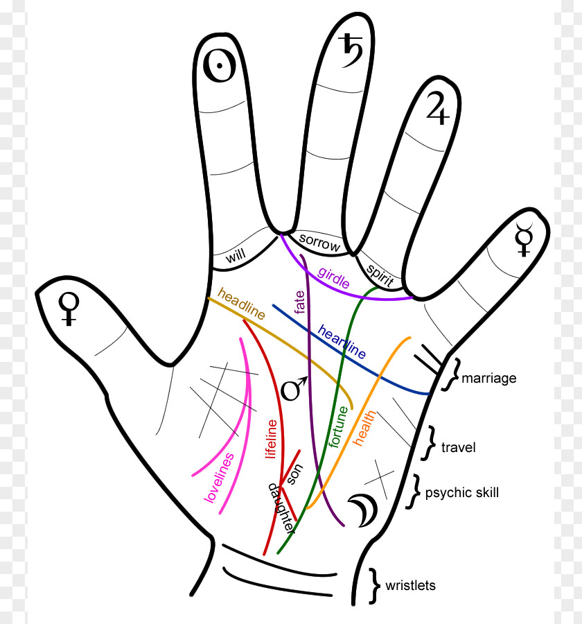 Handprint Outline Palmistry For All Future Hand Marriage PNG