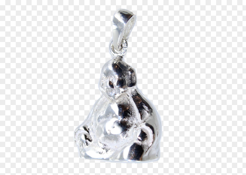 Jewellery Locket Body Silver PNG