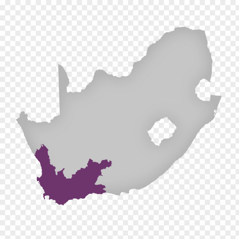 Map South Africa Vector Graphics Illustration PNG