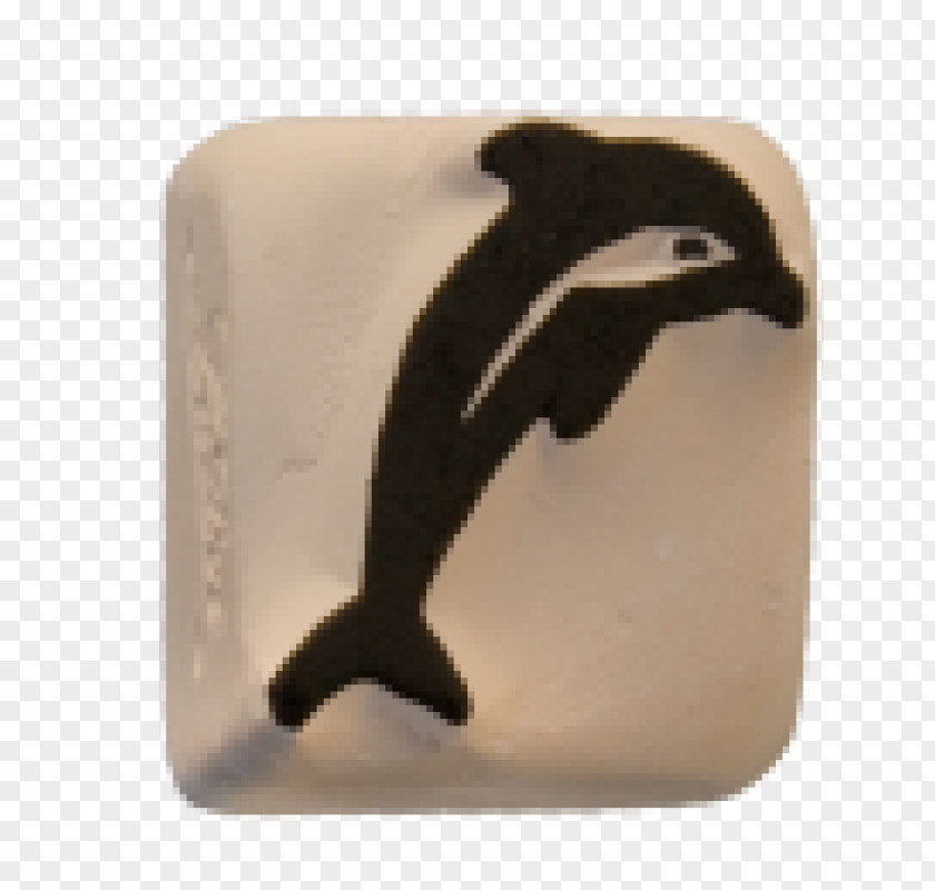 Penguin Fauna PNG