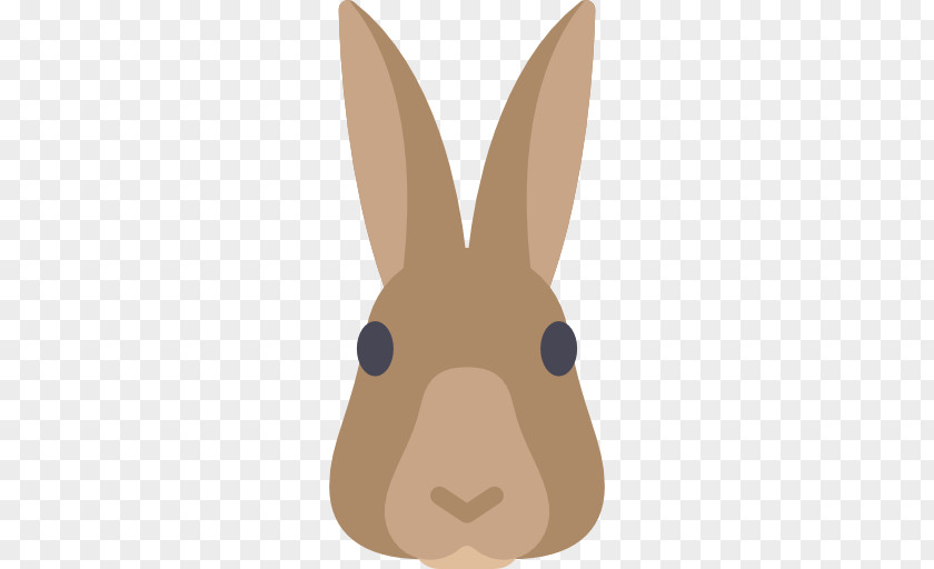 Rabbit European Domestic Hare Easter Bunny PNG
