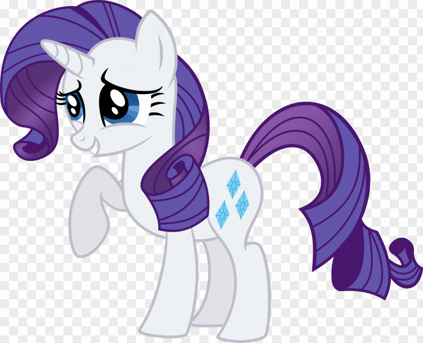 Rarity Rainbow Dash Applejack Twilight Sparkle Pinkie Pie PNG